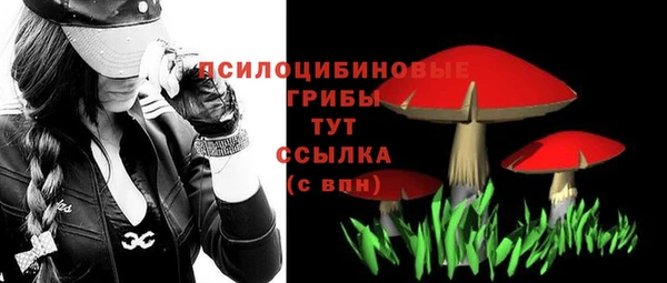 экстази Богородск