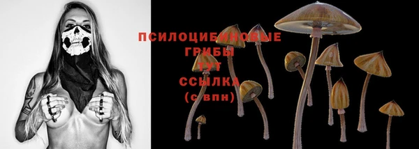 2c-b Бугульма
