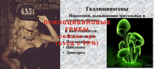 альфа пвп Бородино