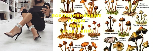 наркотики Белокуриха
