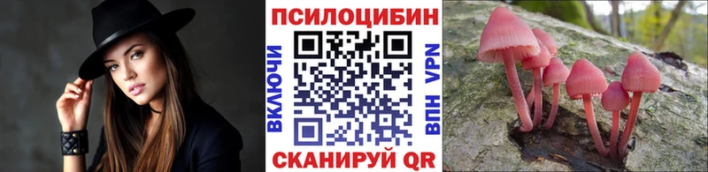 Псилоцибиновые грибы ЛСД  где найти наркотики  Дубна 